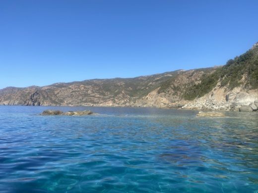 Галерия Motorboat Cap Camarat 9.0 CC alt tag text