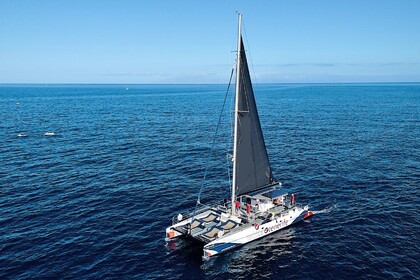 Rental Catamaran Fountaine Pajot Tahiti Costa Adeje
