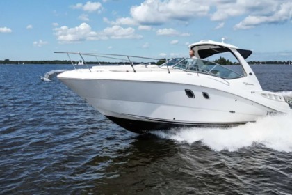 Rental Motorboat Sea Ray SUNDANCER 335 Monaco