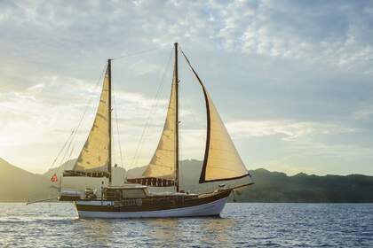 Чартер Парусная яхта Custom Aynakic Gulet Мармарис