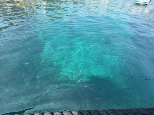 Mallorca Without license Terhi 445 alt tag text