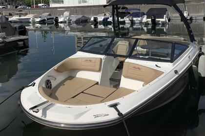 Charter Motorboat Sea Ray SPX 210 Aix-les-Bains