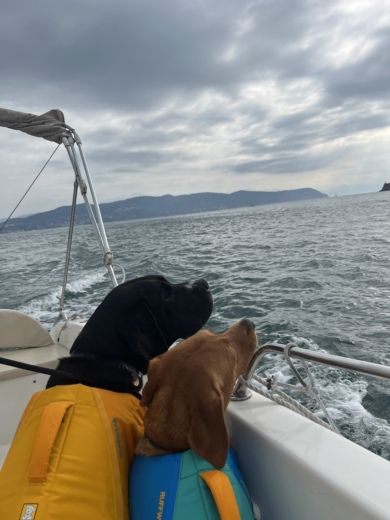 La Spezia Without license DISCOVER LA SPEZIA COAST alt tag text