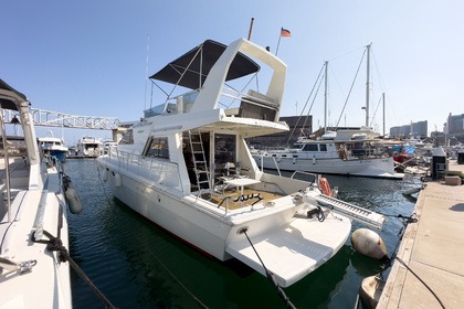 Charter Motorboat Gallart 13.50 Barcelona