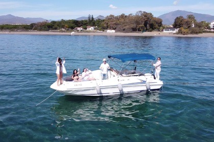 Miete Motorboot Sea Ray 240 Sundeck Marbella
