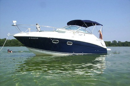 Rental Motorboat Four Winns 248 Vista Altea
