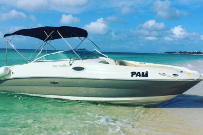Rental Motorboat Sea Ray Sundeck 7m Cozumel