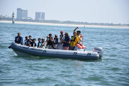 Charter RIB Marshall M100 Tróia Peninsula