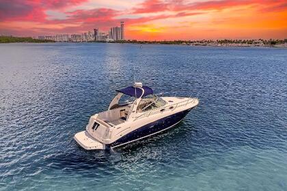 Miete Motorboot Sea Ray Sundancer 300 Alcossebre