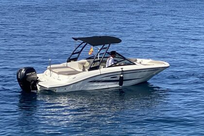 Rental Motorboat Sea Ray 19 SPX Port d'Andratx