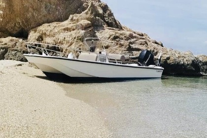 Rental Motorboat Boston Whaler Montauk 17 Lorient