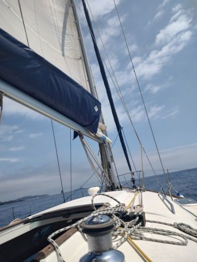 Roses Sailboat Llaüt Conquistador 36 alt tag text