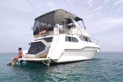 Location Bateau à moteur Cruisers CRUISERS YATCH 3850 AFT Le Lamentin