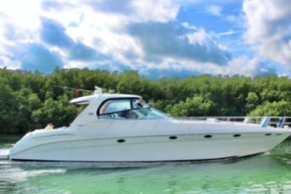 Verhuur Motorboot Sea Ray 60 Cancún