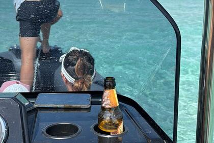 Hire RIB Brig Eagle Eagle 6,50 Bonifacio