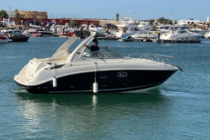 Miete Motorboot Sea Ray SundDancer 265 Tétouan