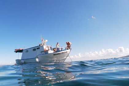 Miete Motorboot Barca da pesca 9.95 metri Stintino