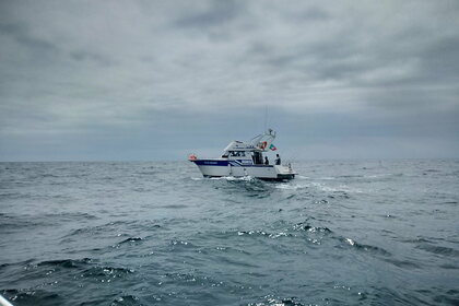 Rental Motorboat RODMAN 1100 Cascais