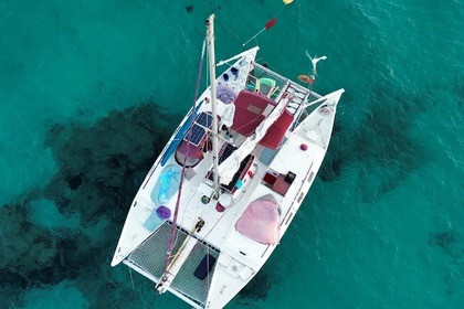 Charter Catamaran Wharram Tangaroa 37 Ibiza