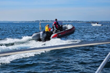 Hire Motorboat Sillinger UM Saint-Méloir-des-Ondes