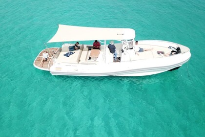 Location Bateau à moteur scanner one Palma de Majorque