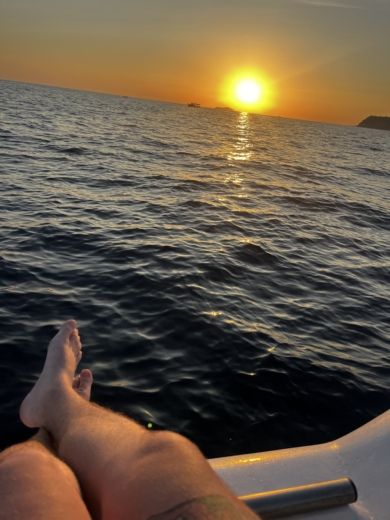 Dubrovnik Without license Venom Istranka alt tag text