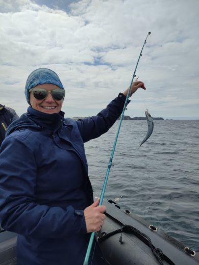 Camaret-sur-Mer RIB 3d Tender XPRO 535 alt tag text