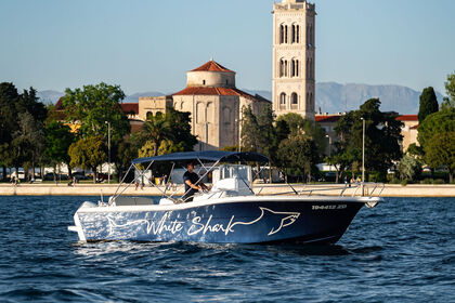 Alquiler Lancha White Shark 265 Zadar