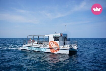 Miete Motorboot mundo marino modelo 50 Valencia