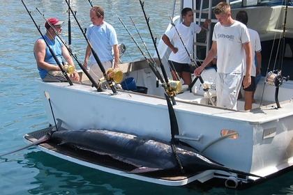 Hire Motorboat Striker 44 SP Sport Fisherman Los Cristianos
