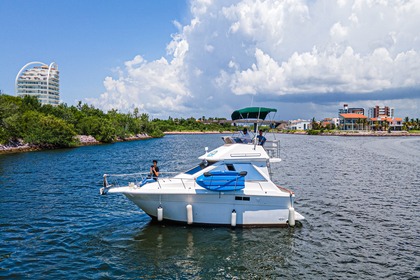 Alquiler Lancha Sea Ray 300 sedan Mazatlán