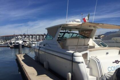 Alquiler Lancha Tiara 2001 Puerto Vallarta