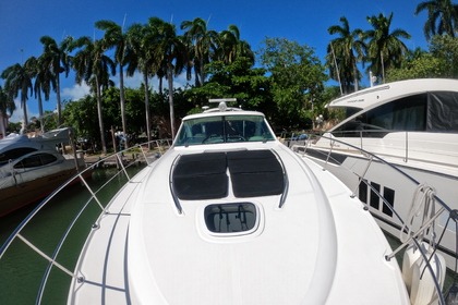 Miete Motorboot Sea Ray Sundancer 500 Hotel Zone