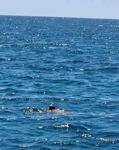 Porto Cesareo Without license Marinello Eden 18 alt tag text