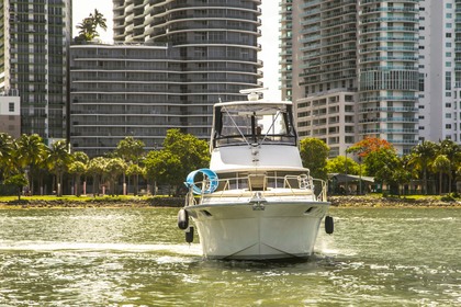 Rental Motorboat Silverton 37 Convertible Miami Beach