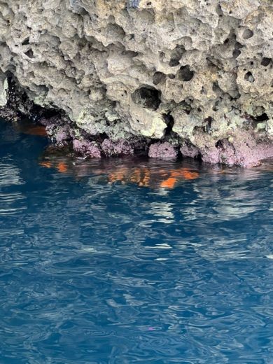 Таормина Motorboat Aquabat infinity luxury alt tag text