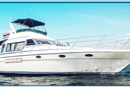 Charter Motorboat Westerly Wolf 46 Fly Chalkidiki
