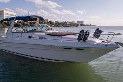 Rental Motorboat Sea Ray 35 Cancún
