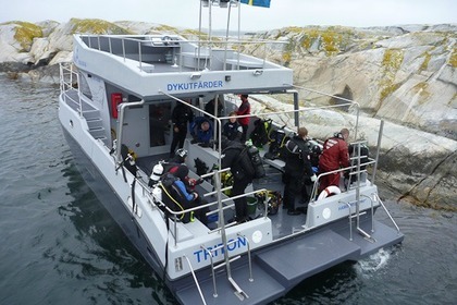 Rental Catamaran Dynalift C-38 Hamburgsund