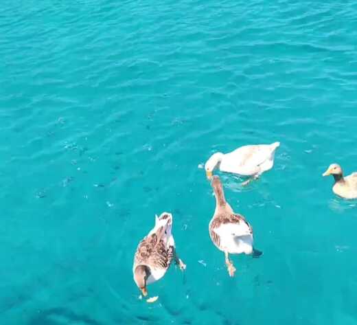 Bodrum Motor Yacht Gurmeyat with Jacuzzi alt tag text