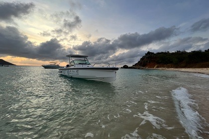 Rental Motorboat Axopar 28 T-top Saint Martin