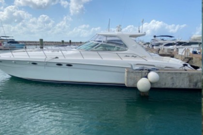 Hire Motorboat Sea Ray 54 La Romana