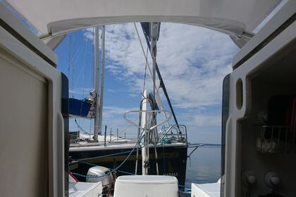 Charter Sailboat Janmor 28 Rydzewo