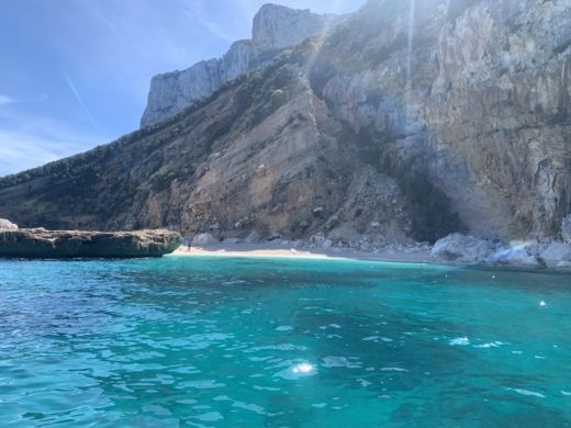 Arbatax Without license AT MARINE AT 590 alt tag text