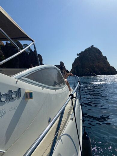 Сан-Фелиу-де-Гишольс Motorboat Gobbi Gobbi 315 alt tag text