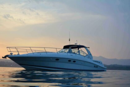 Noleggio Barca a motore Sea Ray 455 Moniga del Garda