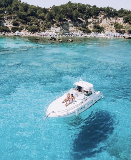 Motorboat Searay 290 Plan du bateau