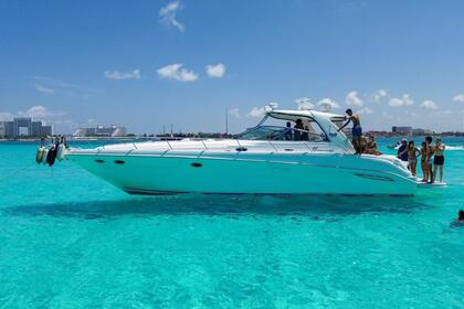 Rental Motorboat Sea Ray SUNDANCER Cancún