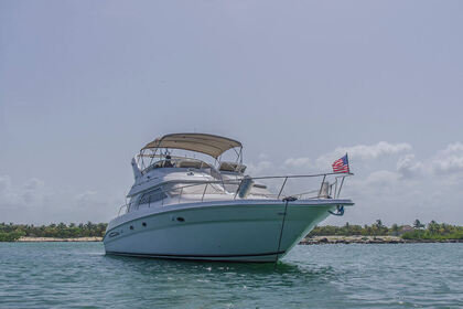 Alquiler Yate Sea Ray 450 Puerto Aventuras