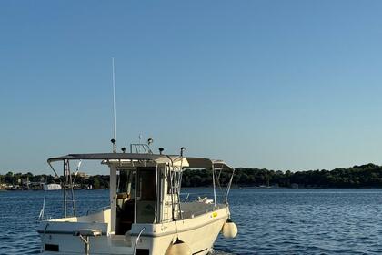 Rental Motorboat Triakis c30 Pula